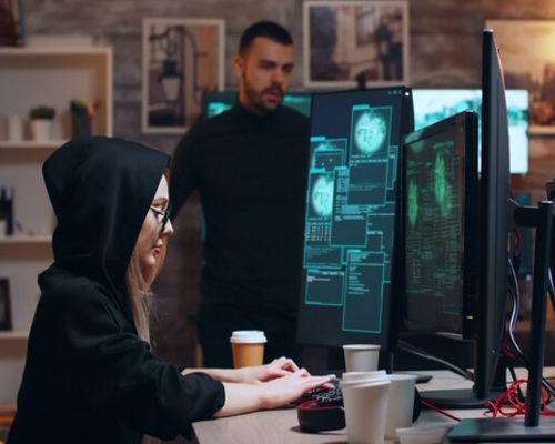 Which Field Have Better Future Cyber Security or Software Engineering