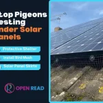 how-to-stop-pigeons-from-nesting-under-solar-panels