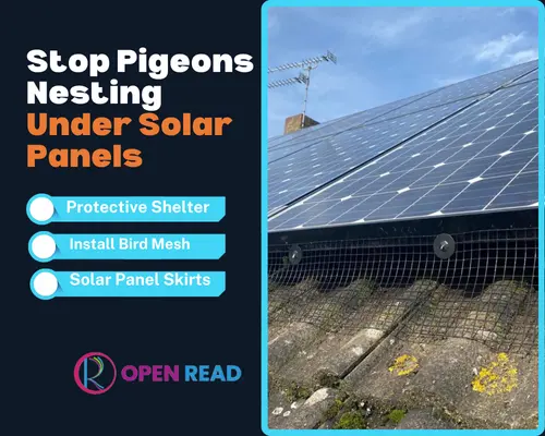 how-to-stop-pigeons-from-nesting-under-solar-panels